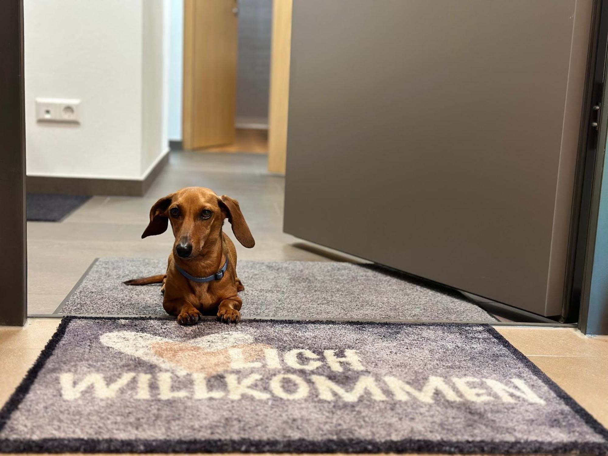 Ferienwohnung Im Glockenziel Engen Esterno foto